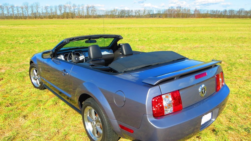 Mustang (44).jpg