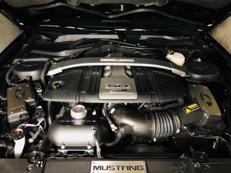 AET - Edelstahl-Abdeckung ''Motorraum Ford Mustang VI Facelift'' (V1.0) - Bild 2.jpg