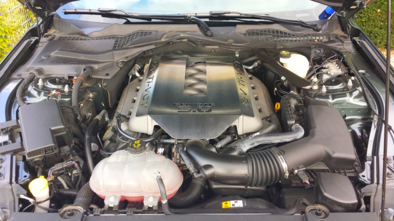 Edelstahl-Motorabdeckung ''Ford Mustang VI'' (V1.0) - Bild 1a.jpg