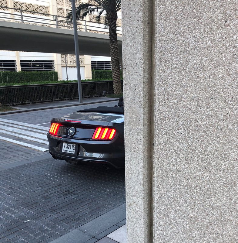 Mustang .jpg