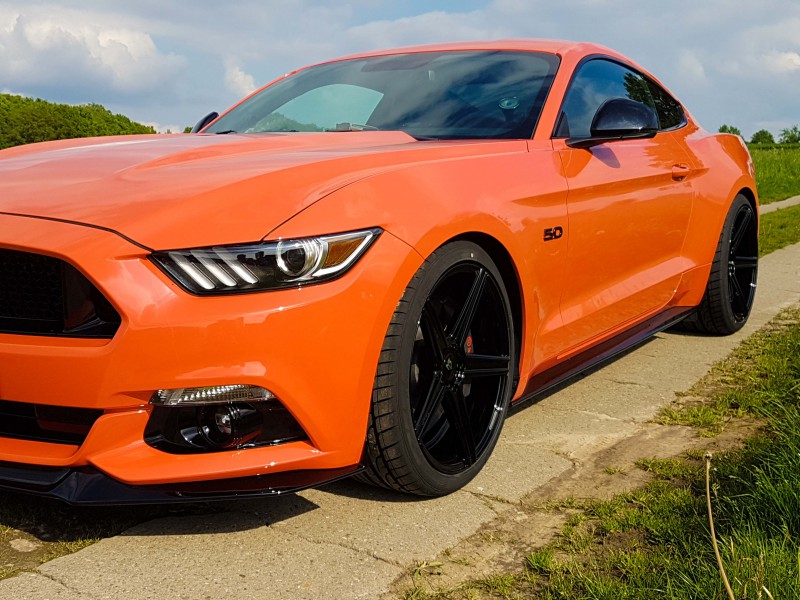Mustang IM2.jpg
