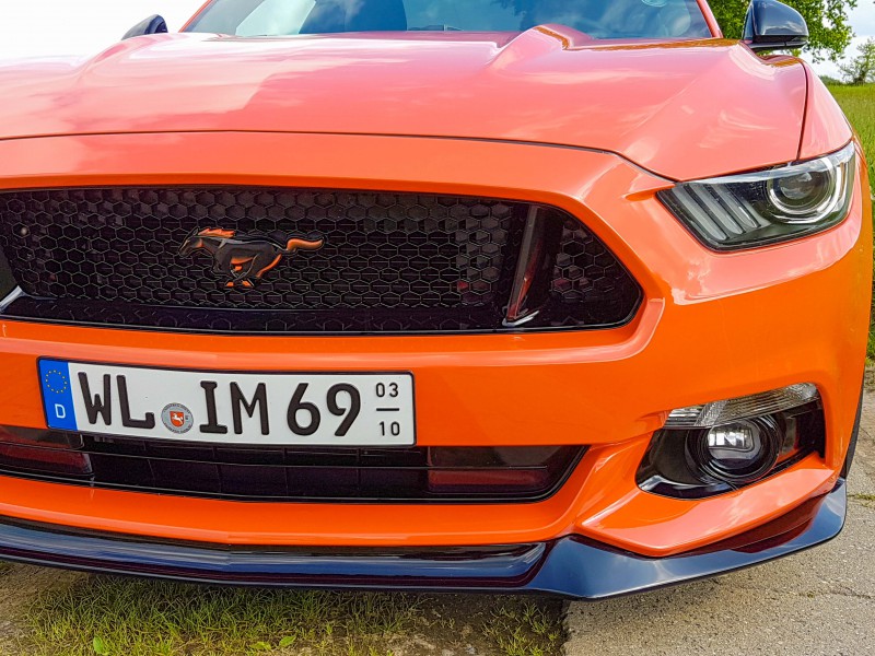 Mustang IM3.jpg