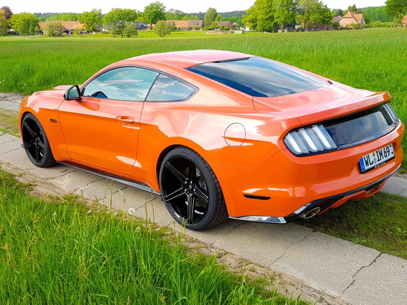 Mustang IM5.jpg
