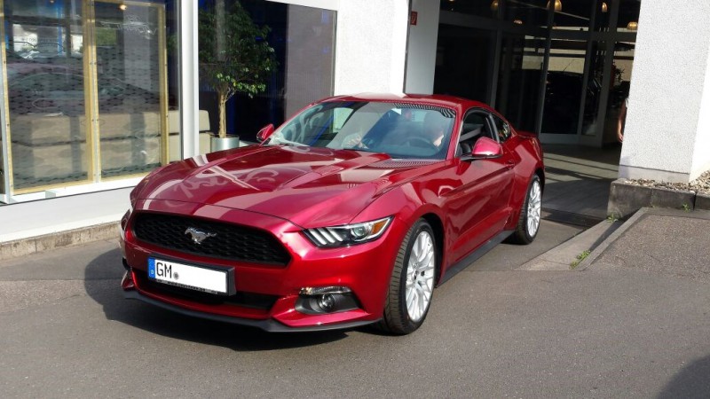 Mustang1_oK.jpg
