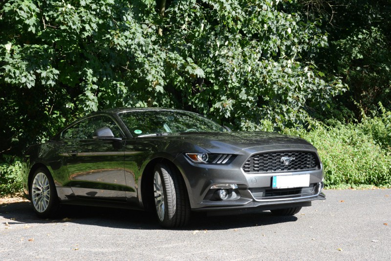 Mustang, vorne rechts.jpg