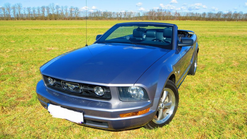 Mustang (34).jpg