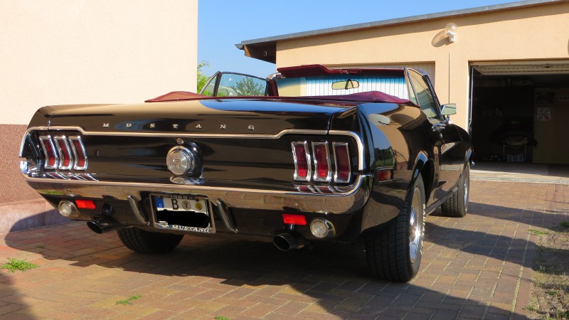 Mustang (3).jpg