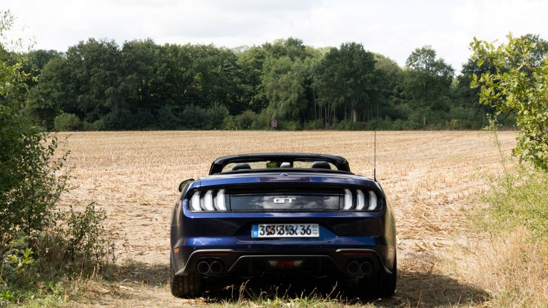 Mustang-002.jpg