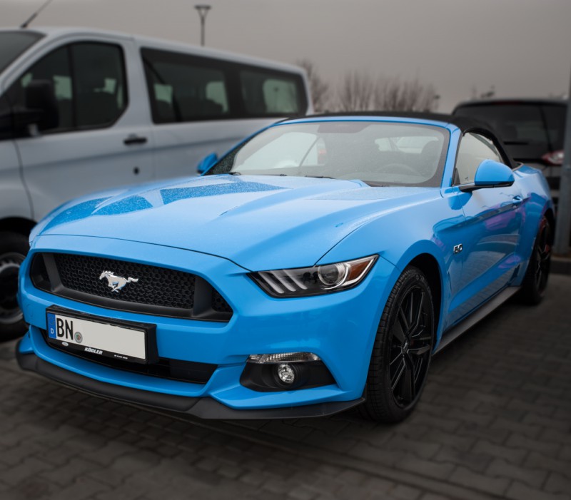 Mustang6.jpg